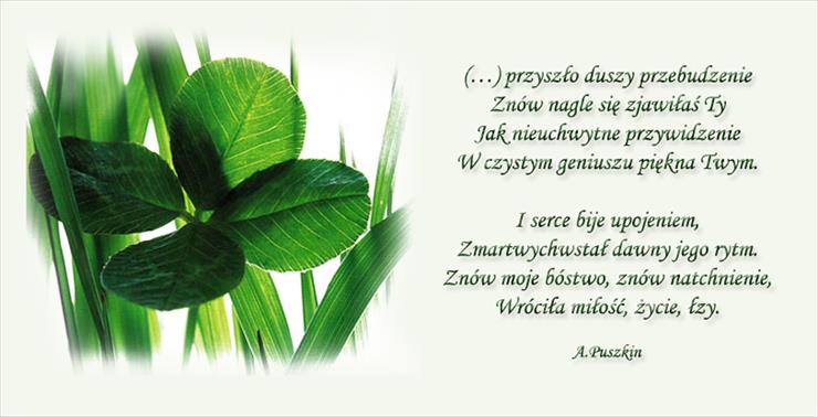 Moje ulubione wiersze - Puszkin.jpg