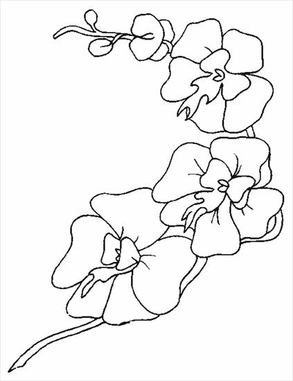 farby żelowe , witraże - orchidee2.gif