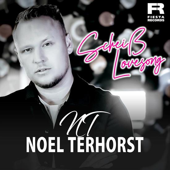 Covers - 27.Noel Terhorst - Schei Lovesong.jpg